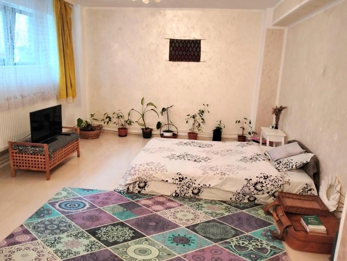 بوخارست Royal Awoun Home المظهر الخارجي الصورة